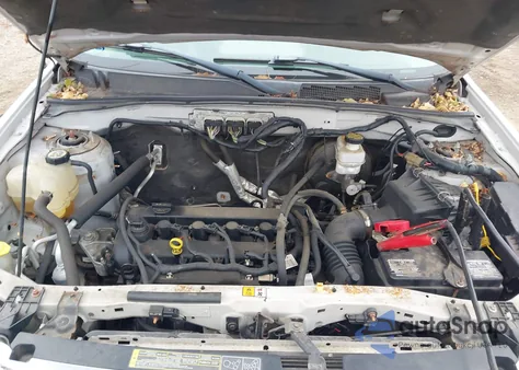 2009 Ford Escape Xlt z USA, uszkodzony, nr VIN 1FMCU03729KB26884